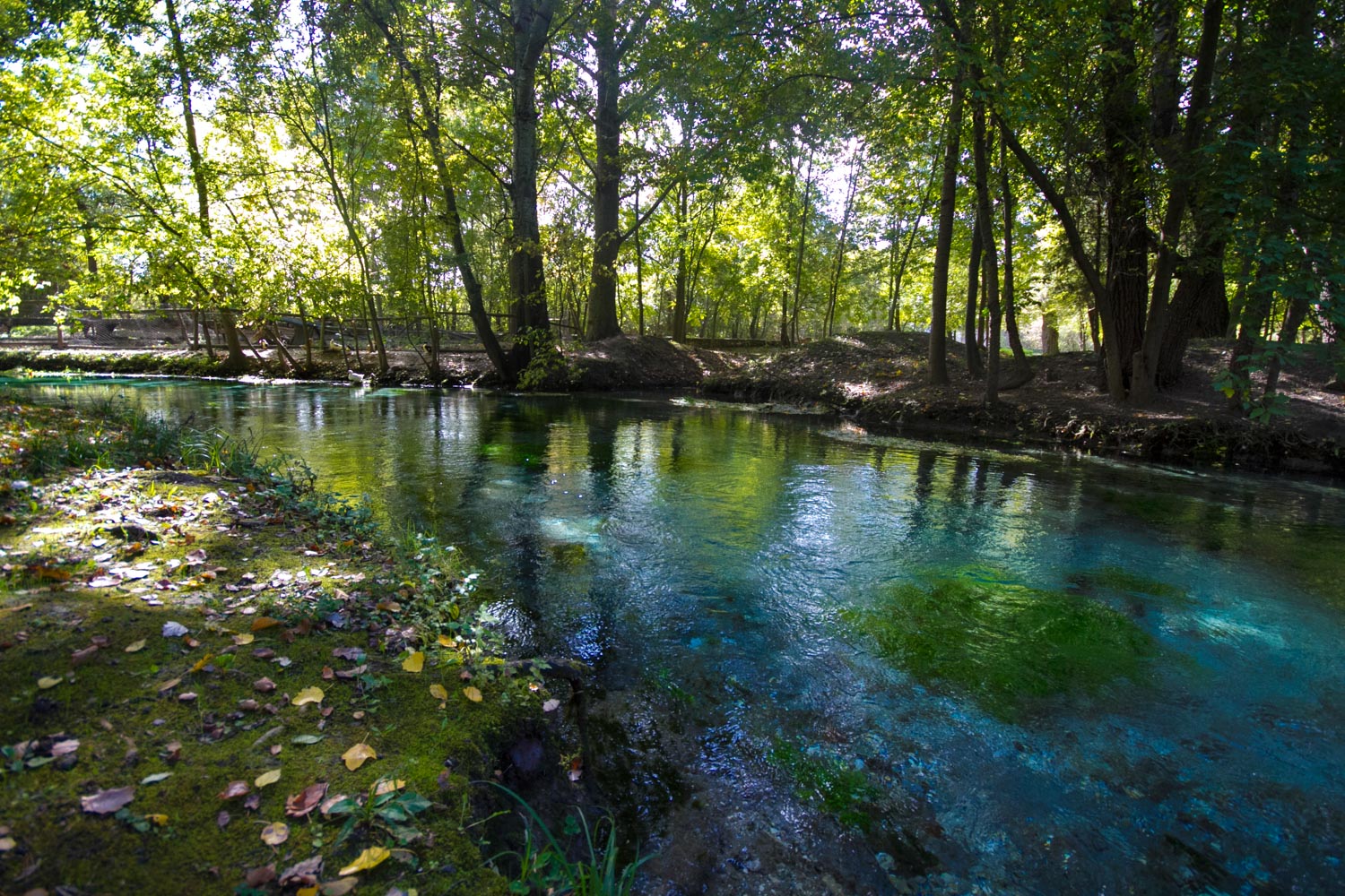 A Natural wonder near Varna Devnya Springs TwoTravelersStory